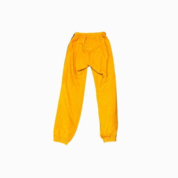 AVIATOR NATION 5 Velvet Rainbow Stripe Joggers in Camel Tan Size S - Picture 3 of 7